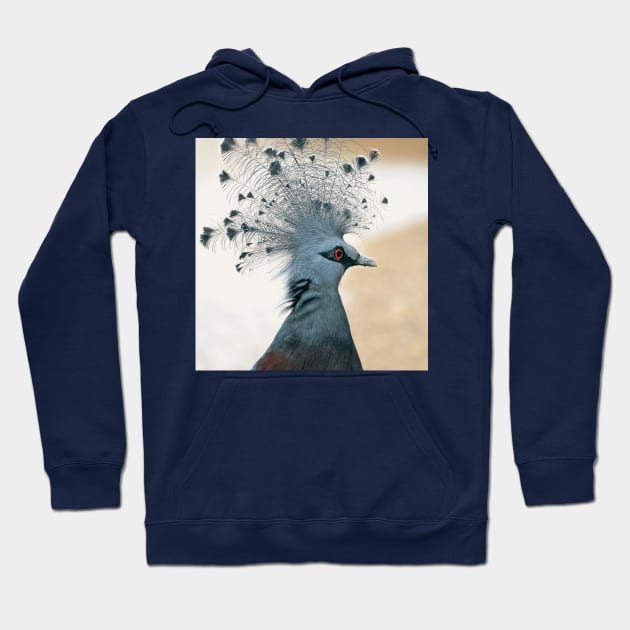 victoria crowned pigeon Hoodie by MinnieWilks